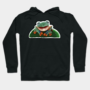 Happy Frog Hoodie